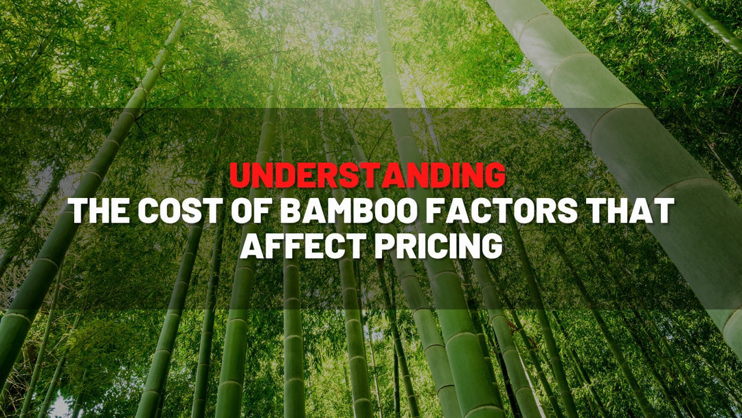 Understanding the Cost of Bamboo: Factors That Affect Pricing