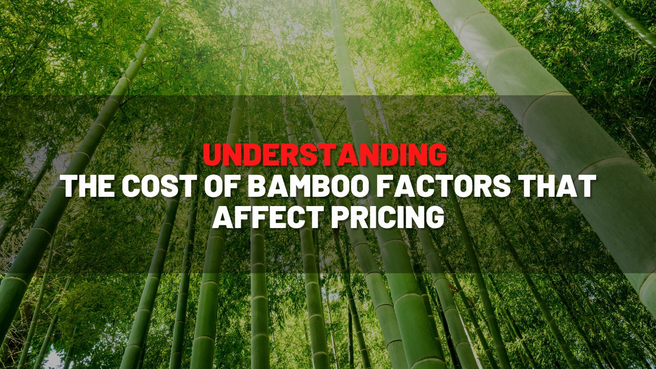 Understanding the Cost of Bamboo: Factors That Affect Pricing